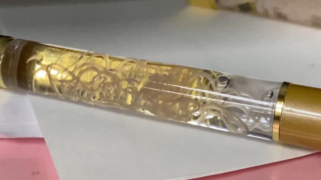 Tinta Maut: Pulpen Isi Parasit Hidup Gegerkan Dunia!