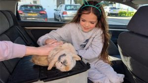 Kelinci Hilang 4 Tahun? Endingnya Bikin Nangis!