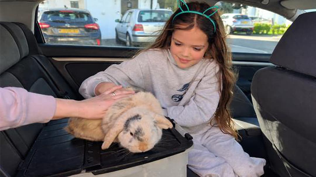 Kelinci Hilang 4 Tahun? Endingnya Bikin Nangis!