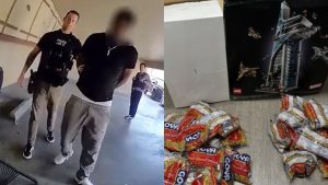 Pria Ini Tukar LEGO Rp500 Juta dengan Pasta! Kok Bisa?