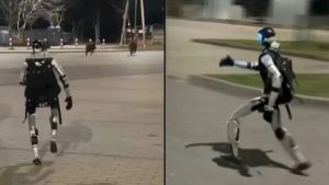 Robot Ganas Usir Babi Hutan?! Netizen Auto Heboh!