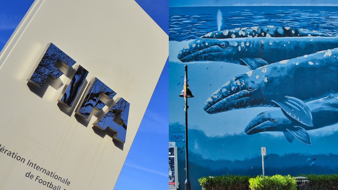FIFA 'Griefing' Dallas? Mural Legendaris Dihapus!