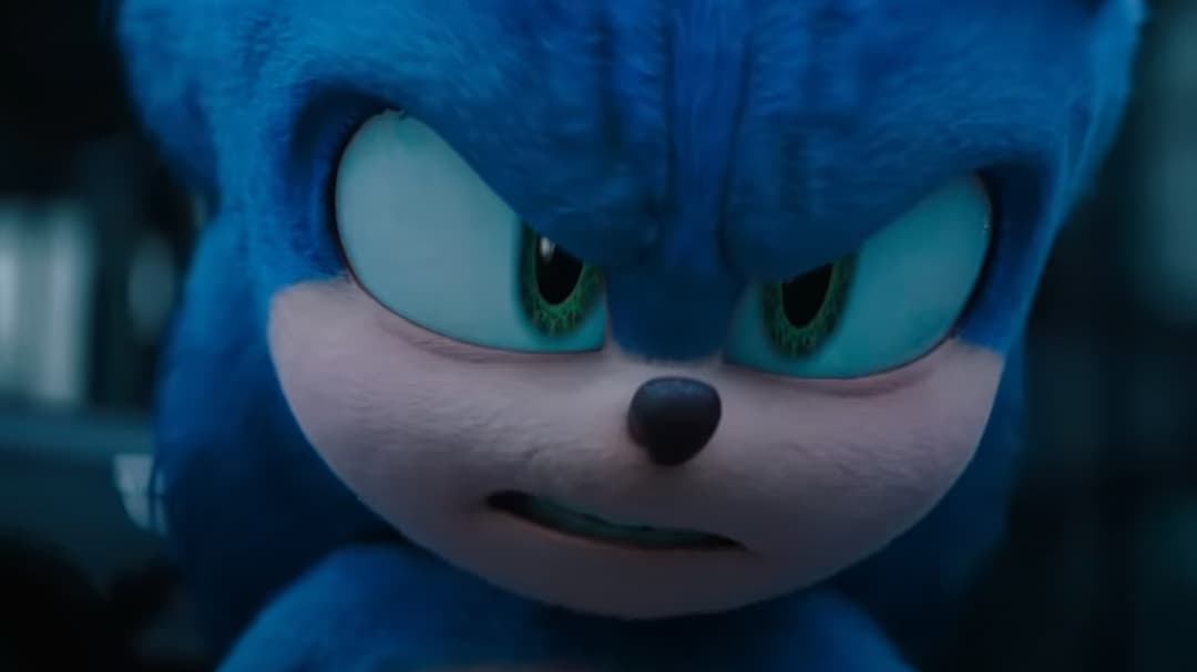 Tragedi Hewan Landak Disemprot Cat Sonic 1 Tragedi Hewan Landak Disemprot Cat Sonic